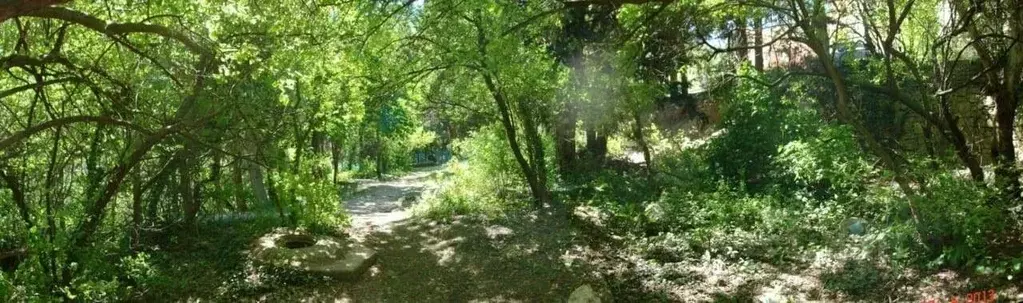 Участок в Крым, Ялта городской округ, Кореиз пгт спуск Парковый, 20 ... - Фото 1