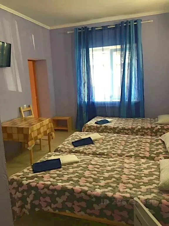 Комната Краснодарский край, Анапа ул. Буковая, 35 - Фото 2