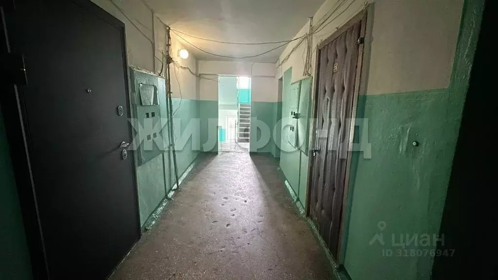 1-к кв. Новосибирская область, Новосибирск ул. Немировича-Данченко, ... - Фото 1