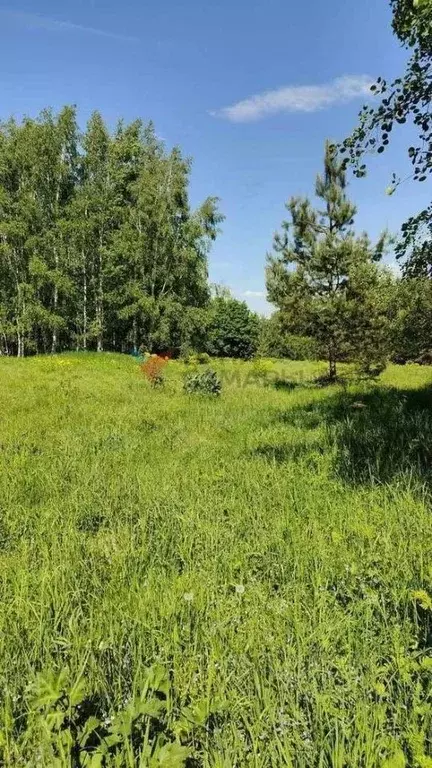 Участок в Самарская область, Красноярский район, Большая Каменка ... - Фото 0