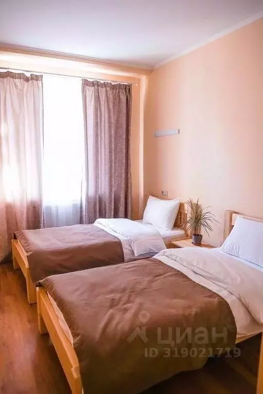 Комната Краснодарский край, Сочи ул. Ленина, 284 (22.0 м) - Фото 0