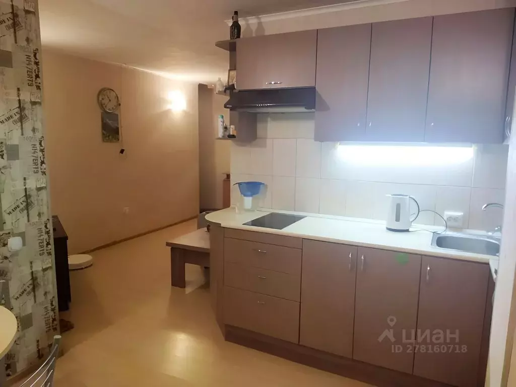 Студия Алтайский край, Барнаул тракт Павловский, 247 (30.0 м) - Фото 1