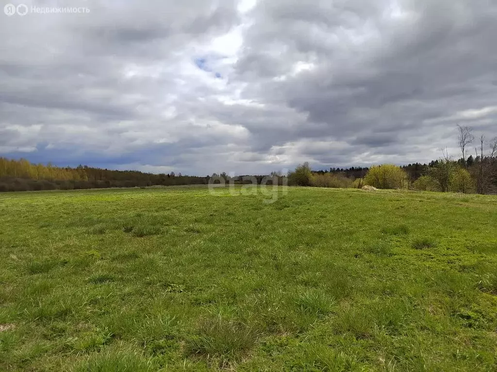 Участок в Пашское сельское поселение, деревня Новая (672 м) - Фото 2