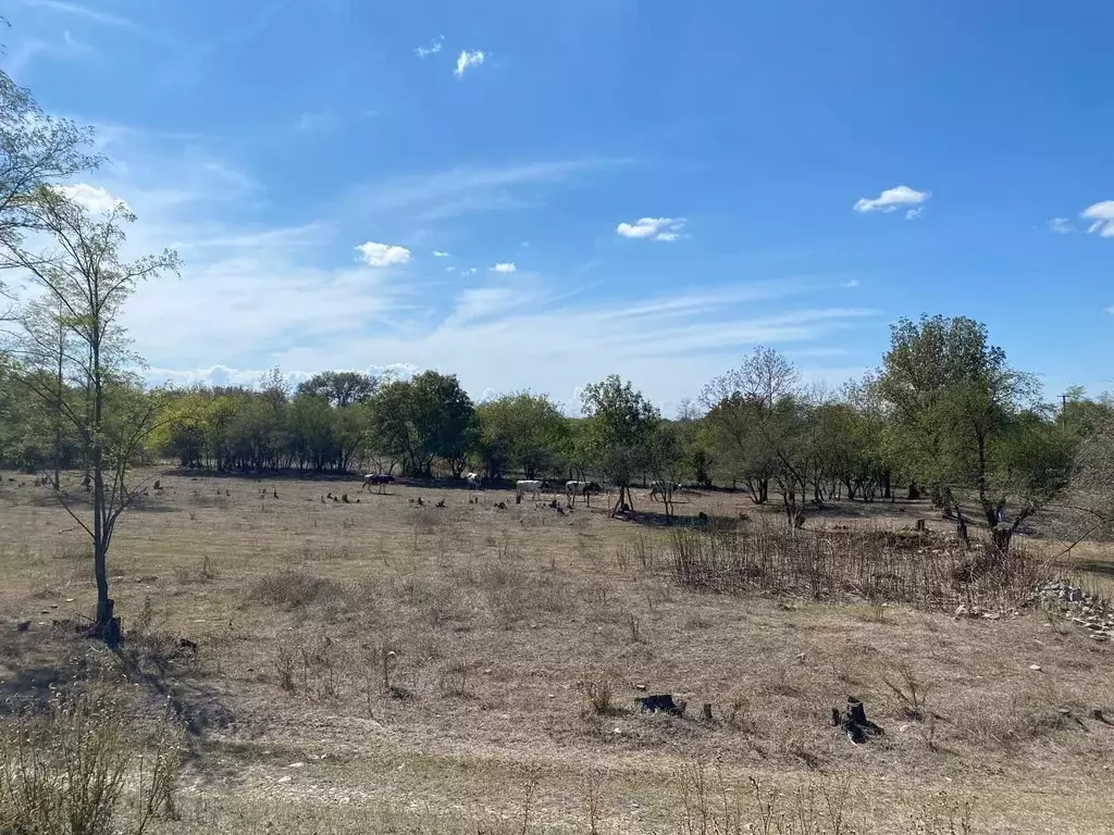 Участок в Краснодарский край, Лабинский район, Зассовское с/пос, ... - Фото 1