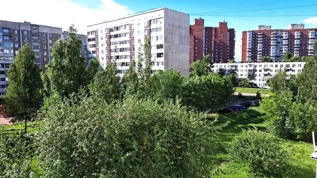 Комната Санкт-Петербург просп. Маршала Жукова, 72К2 (13.6 м) - Фото 0