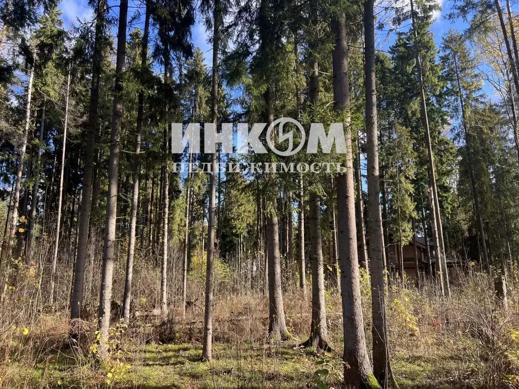 Участок в Московская область, Пушкинский городской округ, д. Могильцы, ... - Фото 1