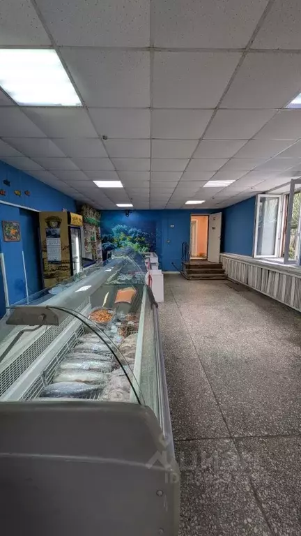 Помещение свободного назначения в Челябинская область, Челябинск ул. ... - Фото 2