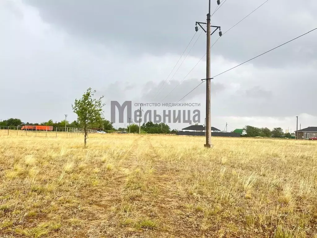 Участок в Волгоградская область, Городищенский район, Царицынское ... - Фото 2