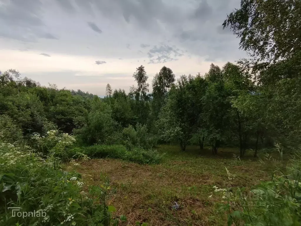 Участок в Алтай, Горно-Алтайск Поселковая ул. (10.1 сот.) - Фото 1