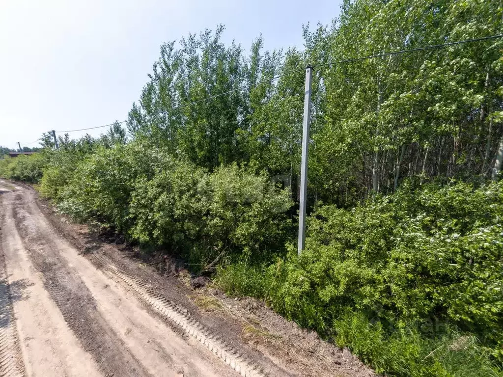 Участок в Тюменская область, Тюмень Поле Чудес садовое товарищество, ... - Фото 1