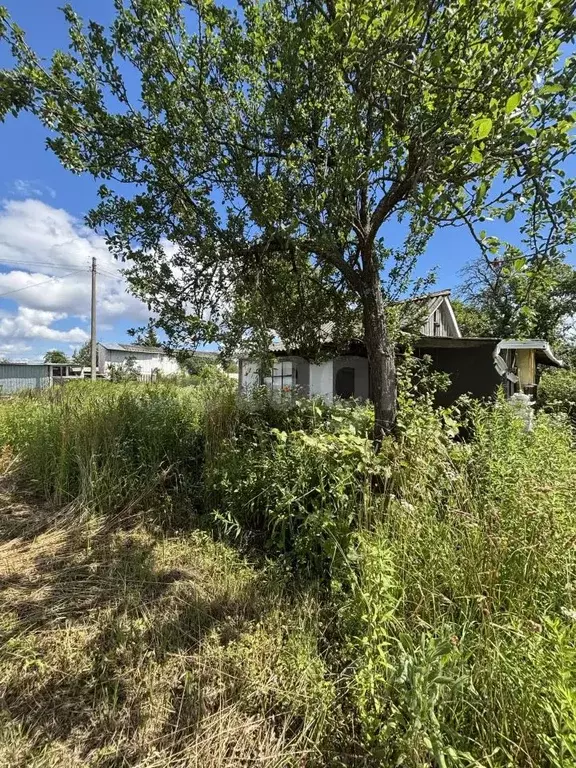 Дом в Орловская область, Орел Строитель-1 СТ, 96 (20 м) - Фото 1