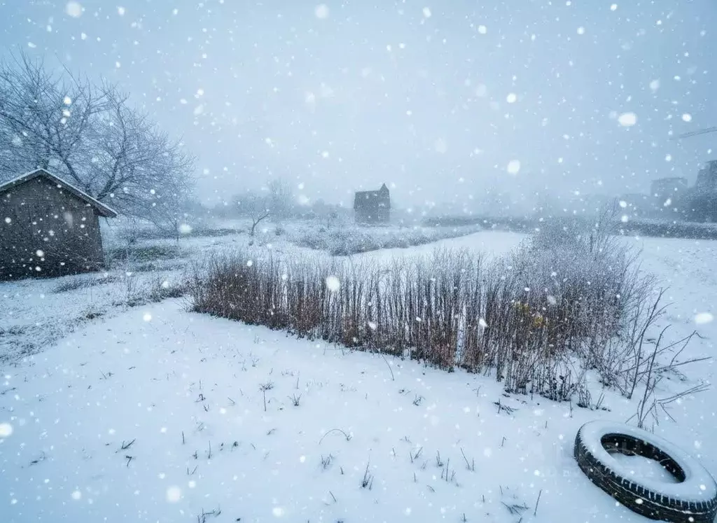 Участок в Брянская область, Брянский район, Снежское с/пос, пос. ... - Фото 1