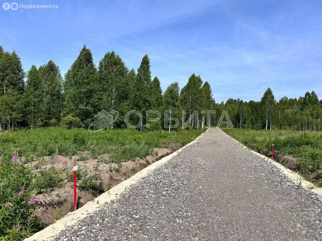 Участок в Нижнетавдинский район, садоводческое некоммерческое ... - Фото 0