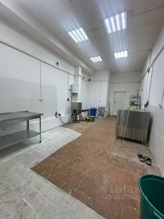 Помещение свободного назначения в Краснодарский край, Сочи городской ... - Фото 2