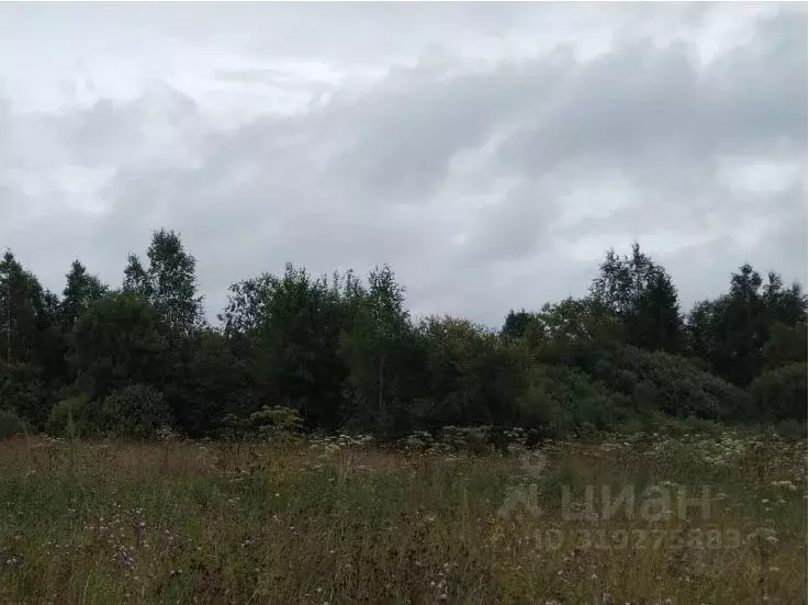 Участок в Московская область, Щелково городской округ, д. Здехово  ... - Фото 0