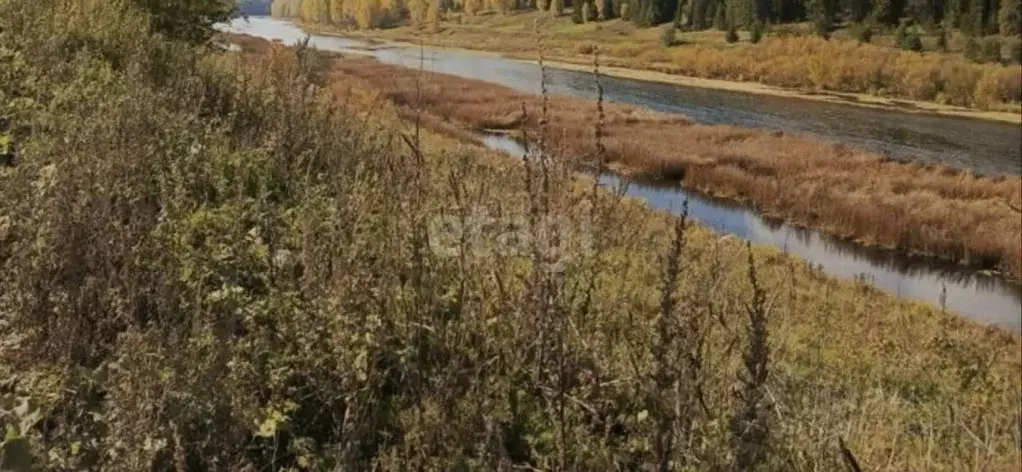 Участок в Свердловская область, Нижний Тагил городской округ, с. Сулем ... - Фото 1