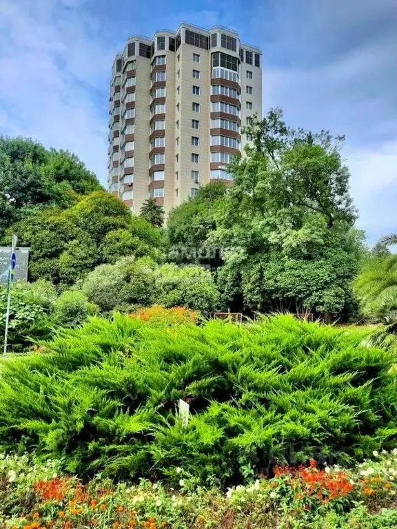 2-к кв. Краснодарский край, Сочи Адлер жилрайон, ул. Ленина, 282/24В ... - Фото 2