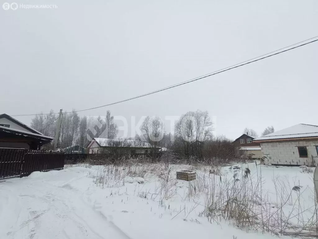 Участок в Ленинградская область, Гатчинский муниципальный округ, ТСН ... - Фото 2