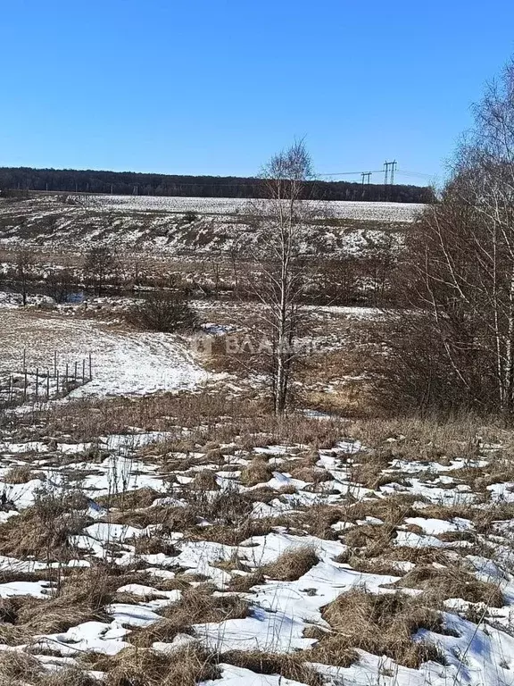 Участок в Рязанская область, Захаровский район, Большекоровинское ... - Фото 1