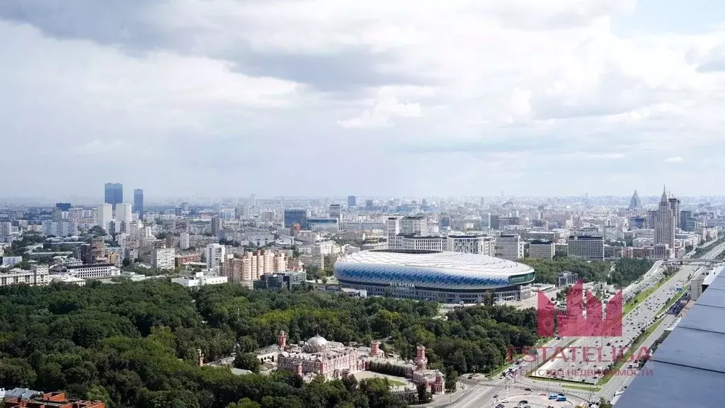 Свободной планировки кв. Москва Ленинградский просп., 37/6 (410.3 м) - Фото 2