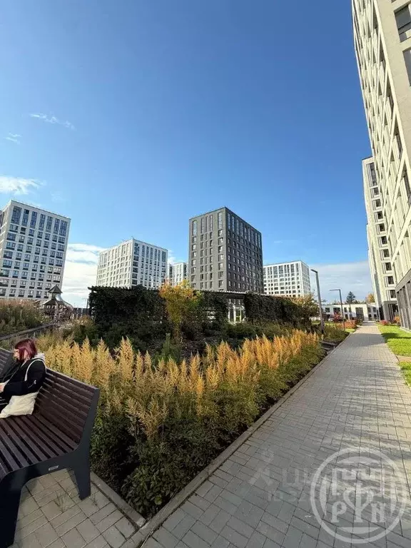 1-к кв. Санкт-Петербург Планерная ул., 99 (32.6 м) - Фото 2