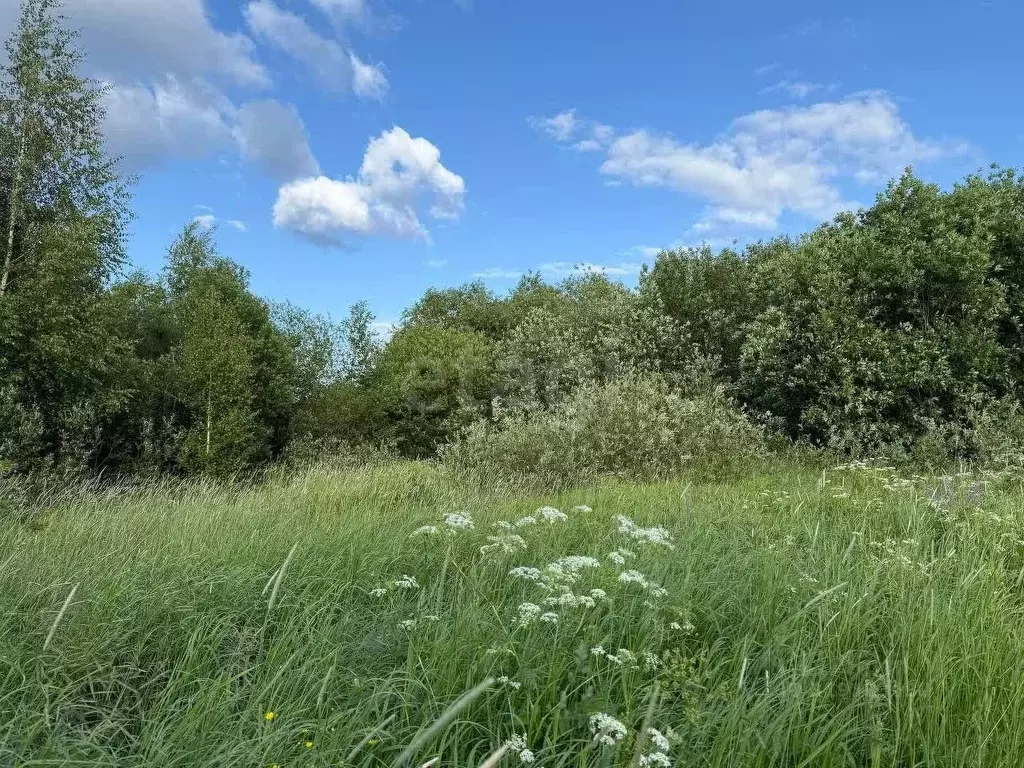 Участок в Вологодская область, Великоустюгский муниципальный округ, ... - Фото 1