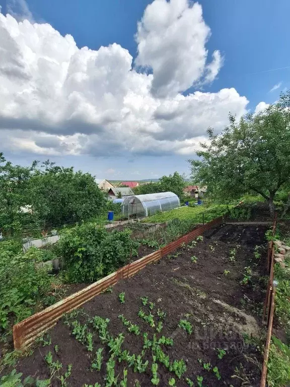Купить Дачу В Засечном Пенза