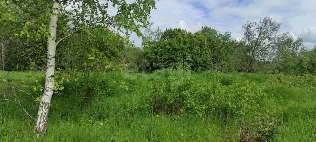 Участок в Ярославская область, Ярославский муниципальный округ, д. ... - Фото 2