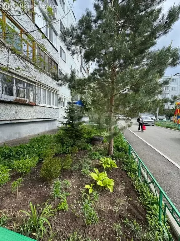 3-комнатная квартира: Оренбург, улица Дружбы, 12/1 (63 м) - Фото 0
