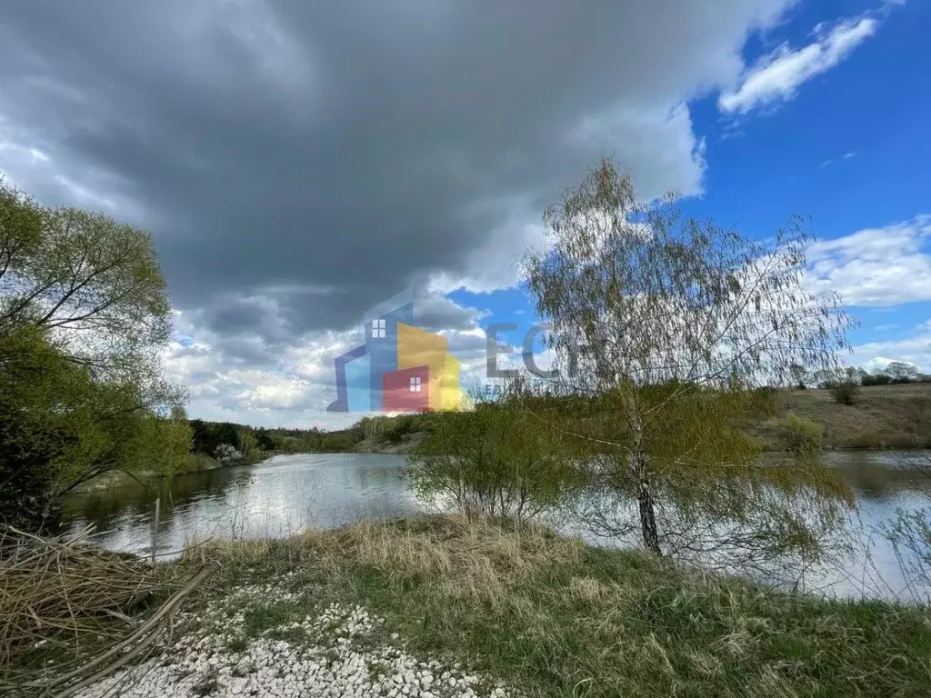 Участок в Тульская область, Алексин городской округ, с. Сотино 24 ... - Фото 1