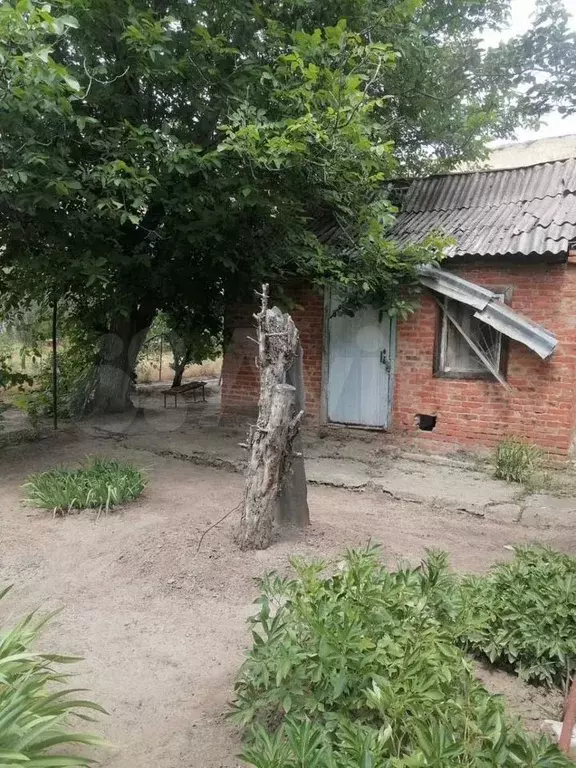 Участок 6,5 сот. (СНТ, ДНП) - Фото 1