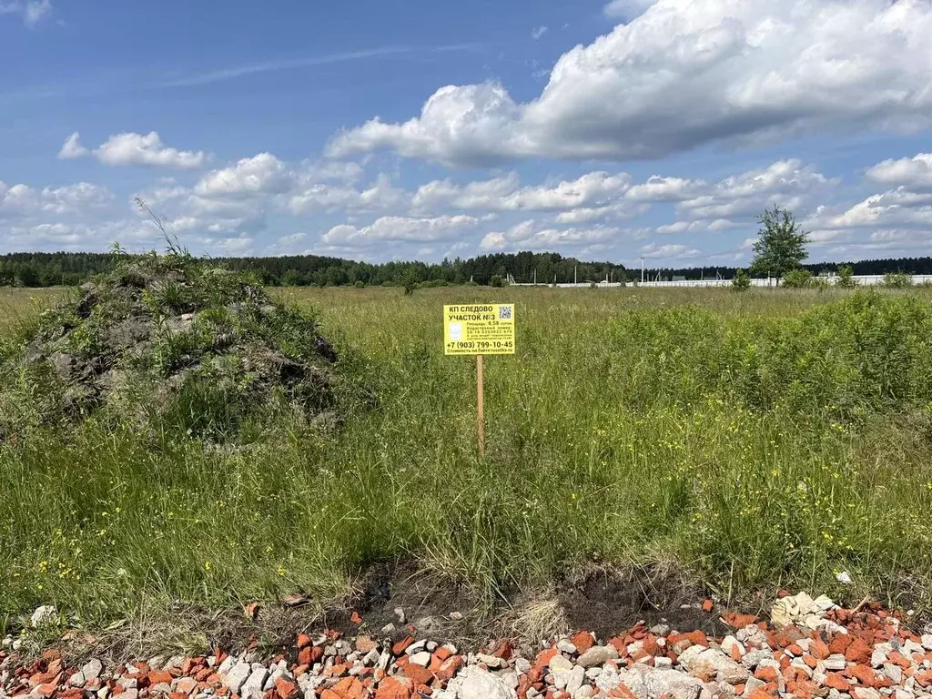 Участок в Московская область, Богородский городской округ, Следово кп ... - Фото 1