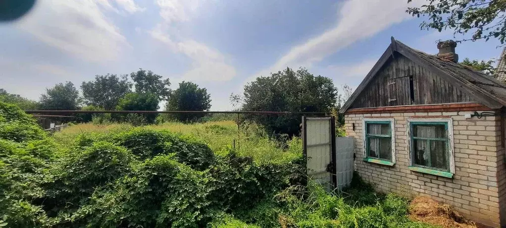 Участок в Краснодарский край, Динской район, Новотитаровская ст-ца ул. ... - Фото 2