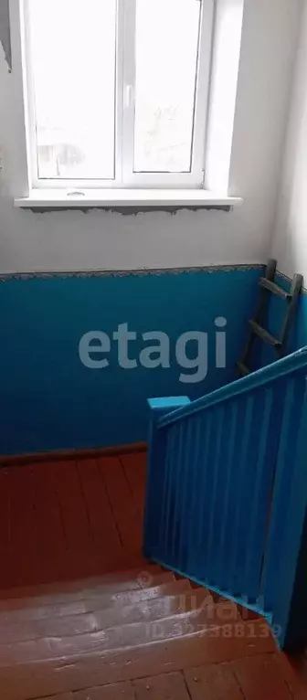 2-к кв. Брянская область, Климово рп ул. Коммунистическая, 14 (31.5 м) - Фото 2