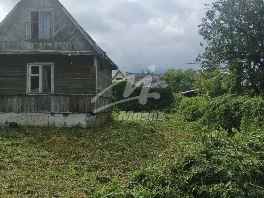 Участок в Московская область, Дмитровский муниципальный округ, Медики ... - Фото 2