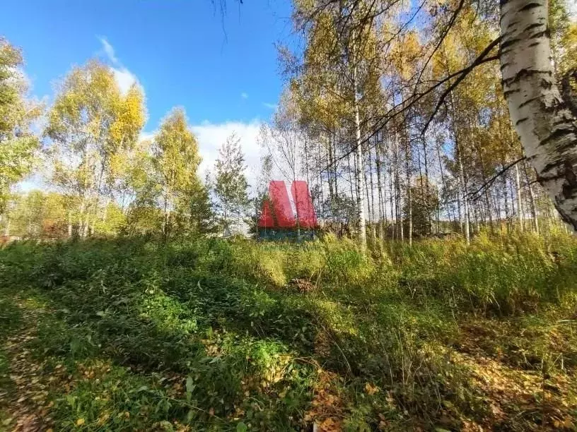 Участок в Ярославская область, Ярославль Сельхозтехника-1 СНТ,  (6.0 ... - Фото 0