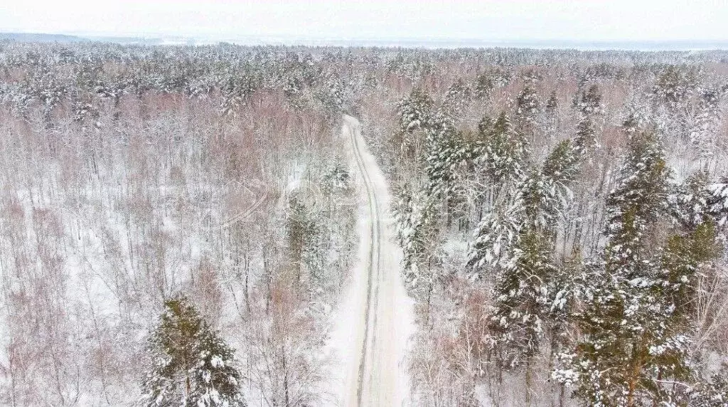 Участок в Тюменская область, Тюмень Светлое садовое товарищество,  ... - Фото 0