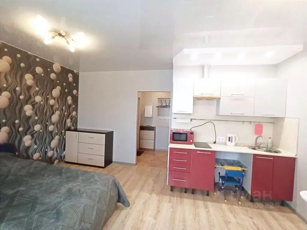 Студия Санкт-Петербург просп. Королева, 69 (30.0 м) - Фото 1