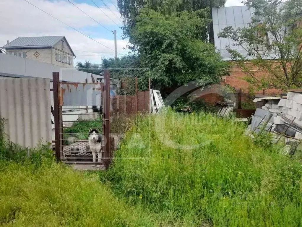 Участок в Воронежская область, Семилукский район, с. Девица ул. ... - Фото 1