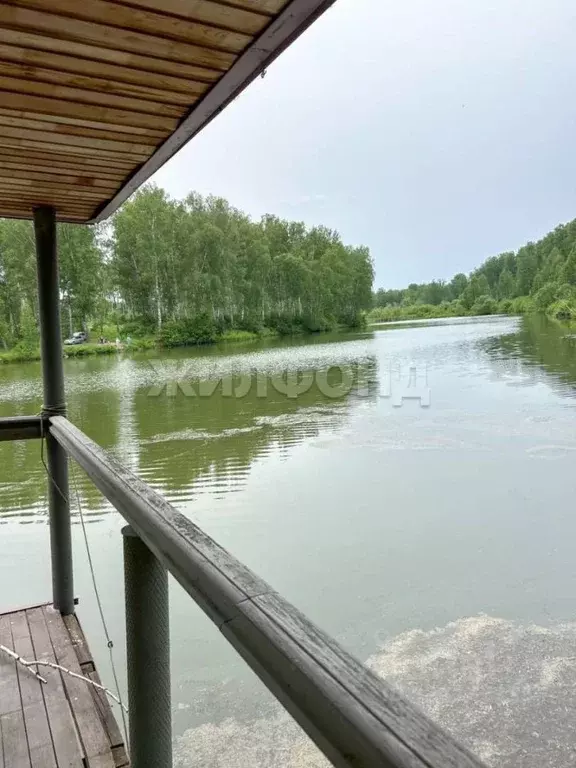 Дом в Новосибирская область, Новосибирский район, Плотниковский ... - Фото 1