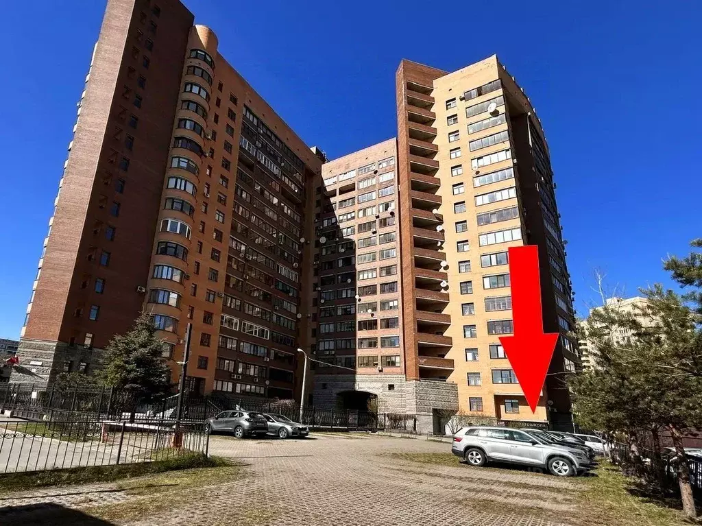 Помещение свободного назначения в Санкт-Петербург Бассейная ул., 10 ... - Фото 1