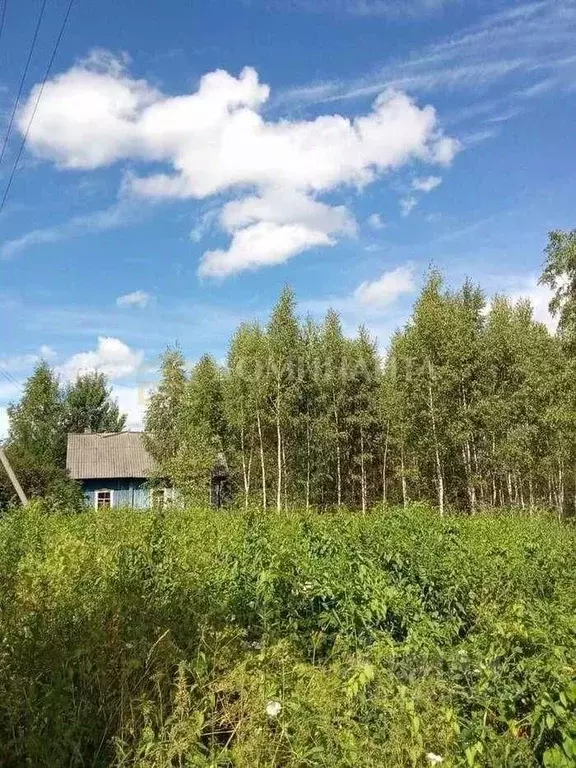 Дом в Смоленская область, Ельнинский муниципальный округ, д. Леоново  ... - Фото 2
