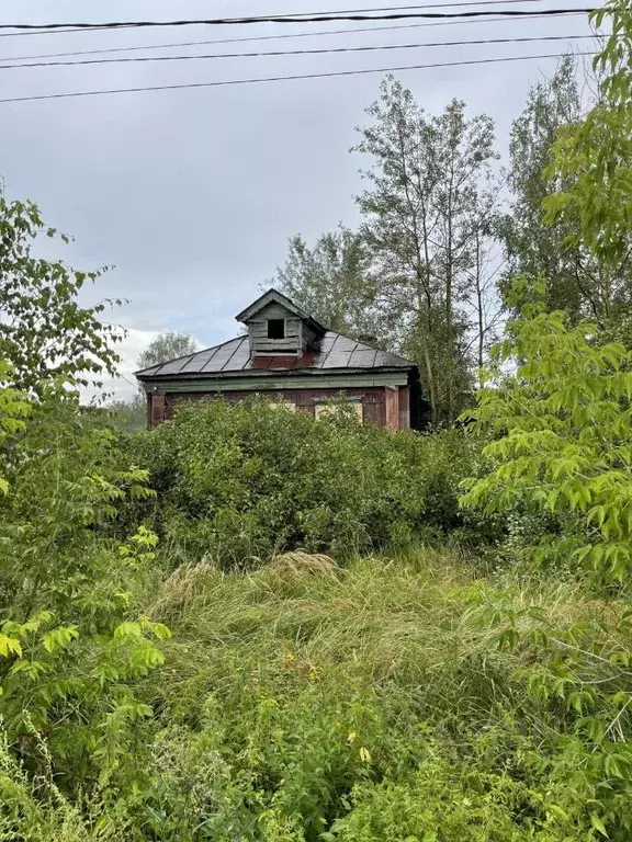 Участок в Московская область, Орехово-Зуевский городской округ, д. ... - Фото 1