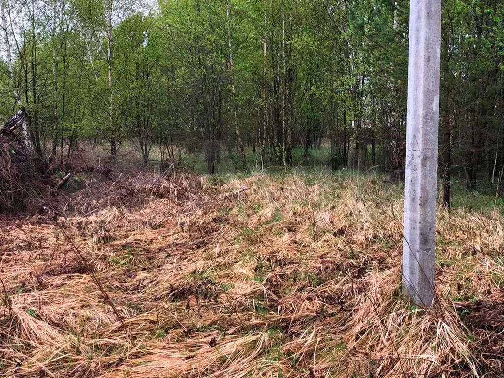 Участок 8,5 сот. (ИЖС) - Фото 1
