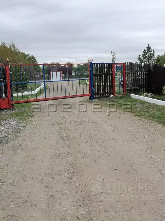 Участок в Красноярский край, Емельяново городское поселение, Золотая ... - Фото 1