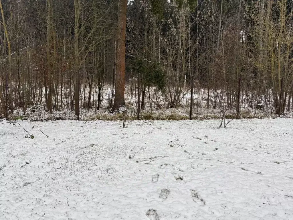 Участок в Московская область, Истра муниципальный округ, пос. ... - Фото 1