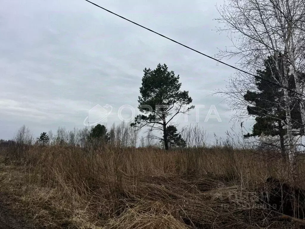 Участок в Тюменская область, Тюмень Ясень садовое товарищество, ул. ... - Фото 1