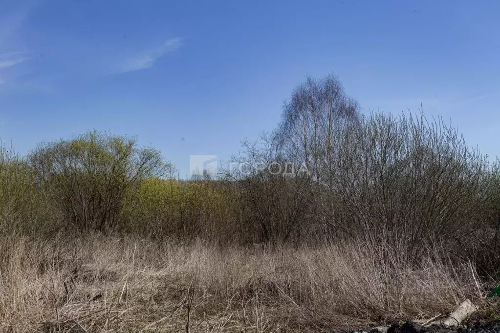 Участок в Кемеровская область, Новокузнецкий муниципальный округ, с. ... - Фото 1