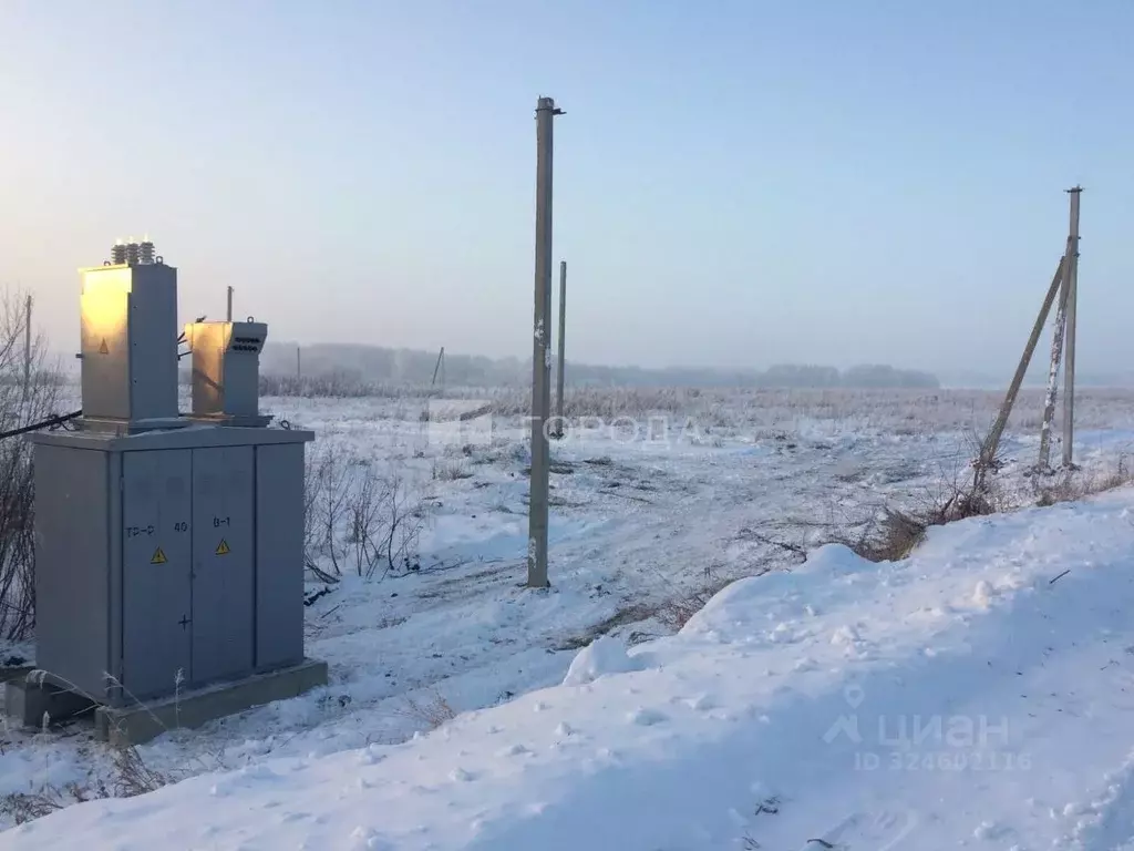 Участок в Новосибирская область, Мошковский район, с. Томилово  (8.58 ... - Фото 1