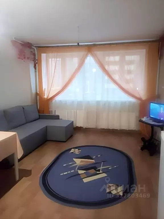 Студия Санкт-Петербург пос. Парголово, Заречная ул., 41 (25.0 м) - Фото 0